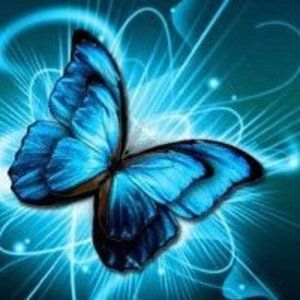 Meet your Posher, Sandy